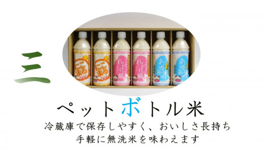 JA北河内ペットボトル米 バラエティセット｜無洗米 米 お米 ごはん ご飯 [1199]