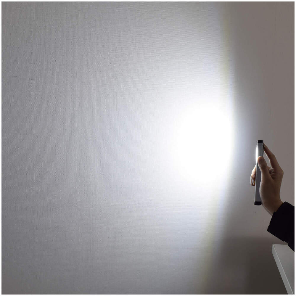 電池式 2WAY ペンライト(SL-4PEN) [0900]