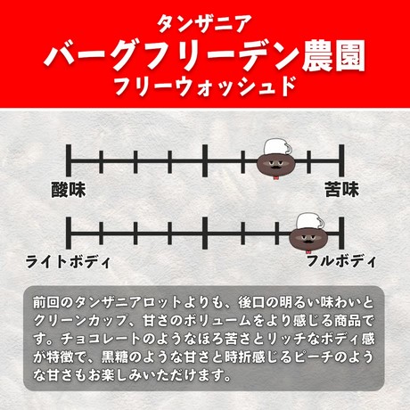 YouTubeで話題！ スペシャルティコーヒー豆 3種セット (200g×3種)《粉 (中粗挽き)》｜珈琲 ギフト 選べる 飲み比べ 香り 苦味 コク 酸味 オフィス キャンプ 大阪府 寝屋川市 [1211]