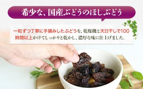 【定期便　毎月お届け3ヵ月】ほしぶどう 40g×5袋 国産 ドライフルーツ 無添加 複数品種 希少 レア 小分け 干し葡萄 干しぶどう 干しブドウ 無添加 保存食 備蓄食 常備食 食物繊維 鉄分 無添加 複数品種 希少 レア 小分け干し葡萄 ほしぶどう 無添加 防災食品 保存食 備蓄食 常備食 食物繊維 鉄分 ポリフェノール レーズン 製菓 製パン グラノーラ おやつ おつまみ 送料無料