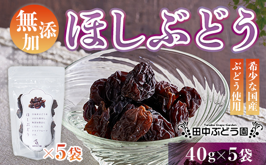 ほしぶどう(40g×5袋)としっとり柿チップス(60g×5袋)セット 国産 ドライフルーツ レーズン 無添加 複数品種 希少 レア 小分け｜こだわりの逸品 地域特産品 ギフト 自分用 人気 おすすめ