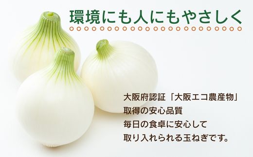 【令和8年度産玉ねぎ先行予約】玉ねぎ 10kg×1箱 ※6月より発送予定 ｜ 混サイズ 玉ねぎ たまねぎ タマネギ 玉葱 カレー シチュー 肉じゃが スープ サラダ 人気 大阪 河内長野 kawabata farm 料理 送料無料 先行予約 国産 エコ農産物 甘い玉ねぎ 野菜 食育 安心 安全