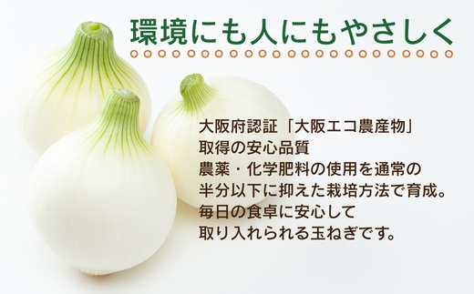 【令和8年度産新玉ねぎ先行予約】新玉ねぎ 2kg×2箱  ※4月～5月発送予定 混サイズ 玉ねぎ 新玉ねぎ たまねぎ タマネギ 玉葱 カレー シチュー 肉じゃが スープ サラダ 人気 大阪 河内長野 kawabata farm 料理 送料無料 先行予約 国産 エコ農産物 甘い玉ねぎ 野菜 食育 安心 安全