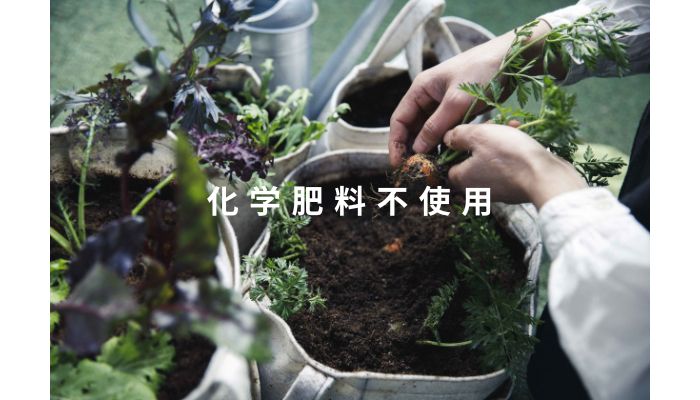 完全有機肥料オイジオ 500ｇ×2袋  肥料 oiTHEO オーガニック 完熟発酵 土 土を蘇らせる 栽培 作物 肥料 微生物 追肥 化学肥料不使用  株式会社クレイ　