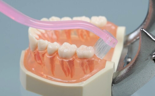 【ふるさと納税】奥歯掃除用歯ブラシ クリアデント バックフィット 4本セット｜奥歯の裏まで届く 専用設計 歯垢除去 二段グリップ 歯周ケア 虫歯予防 オーラルケア 歯ブラシセット デンタルケア 大人用 日本製 送料無料 河内長野市