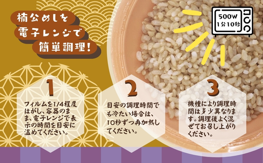 楠公めし 2個　歴史と生姜が香る 薬膳精進カレー 2個 セット　楠木正成公 玄米 健康 武士 中世 観心寺 金剛寺 延命寺 住職発案 人気レストラン 創作精進料理KU-RI 監修 簡単調理 こだわりの逸品 地域特産品 ギフト 自分用 人気 おすすめ