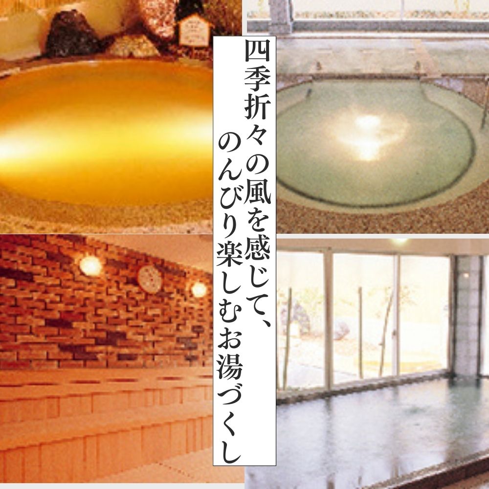 【ふるさと納税】天然温泉風の湯　大人入浴券10回分