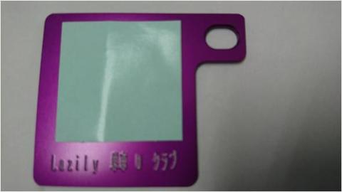 自賠責ステッカープレート（バイク用）ピンク こだわりの逸品 地域特産品 ギフト 自分用 人気 おすすめ