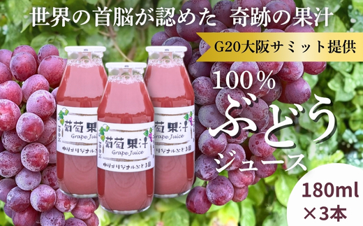 ぶどうジュース3本とぶどうジャムおまかせ2種詰合せ l ぶどう100％スペシャルジャム 砂糖不使用  原材料はぶどうのみ 中村オリジナルぶどう園 国産ぶどう100％使用 高級手づくりジャム 無添加 無着色 果実そのまま  G20大阪サミット提供