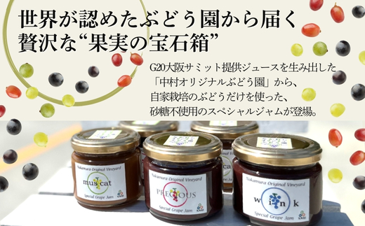 ぶどうジャムおまかせ3種詰合せ l ぶどう100％スペシャルジャム 砂糖不使用 オリジナル品種からおまかせ3種セット 原材料はぶどうのみ 中村オリジナルぶどう園 国産ぶどう100％使用 高級手づくりジャム 無添加 無着色 果実そのまま ギフト 贈答 プレゼント 日本製 大阪　河内長野