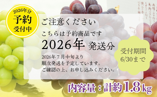 【2026年7月中旬～順次発送】シャインマスカットとおまかせオリジナル品種詰め合わせ２種　約1.8kg 中村オリジナルぶどう園｜※発送前のご連絡についてご注意ください 希少  オリジナル品種含む おまかせ 葡萄 ブドウ グレープ フルーツ 果物 くだもの 果汁 ジューシー 食品