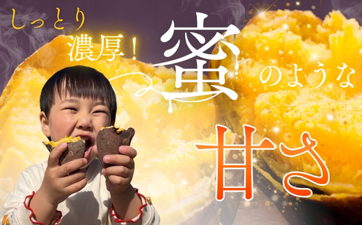 ＜2026年11月発送分　先行予約受付中！！＞ 紅はるか 5kg ｜ さつまいも 生芋 詰め合わせ 熟成 甘い 焼き芋 バター焼き サラダ 天ぷら スイーツ スイートポテト 大阪 河内長野 中村オリジナルぶどう園 訳あり 料理 国産 野菜 食育