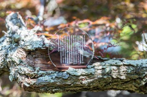 アクリル置物 般若心経 丸タイプ・白文字 inori インテリア オブジェ こだわりの逸品 地域特産品 ギフト 自分用 人気 おすすめ