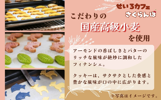 フィナンシェ&クッキーギフト A　お菓子 スイーツ ご褒美 特別 手土産 プレゼント おやつ おいしい 人気 おすすめ ギフト 自分用 河内長野 送料無料