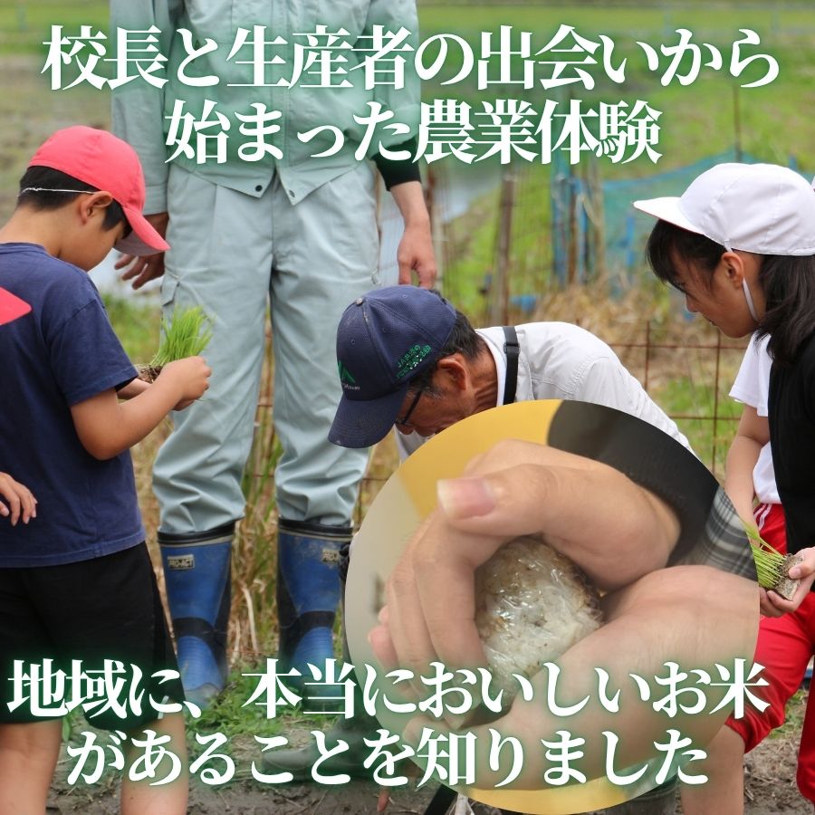 令和7年献上米 新米 ヒノヒカリ 天野輝5kg （精米後約4.5kg）てんのかがやき 大阪府 河内長野市産 白米 甘み 粘り ブランド米【2025年11月以降発送】米 こめ コメ 子ども 食育 減農薬 安心 安全 新米 河内長野市米 eco米 食味 白米 ごはん 銘柄米 ブランド 単一米 米 こめ コメ 白米 ごはん 新米 ひのひかり