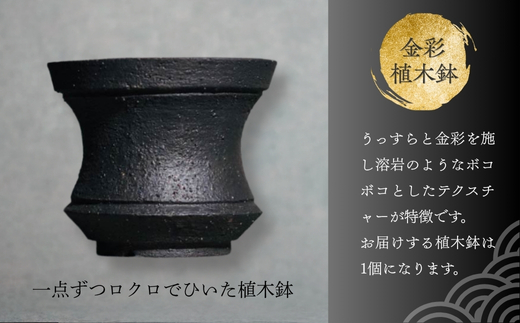金彩植木鉢 ミニ盆栽 多肉植物 手作り 植木鉢 うえきばち 一点もの 鉢 観葉植物 ガーデニング おしゃれ こだわりの逸品 地域特産品 ギフト 自分用 人気 おすすめ 大阪 河内長野 プレゼント 父の日 母の日 敬老の日 誕生日 お祝い 陶芸  