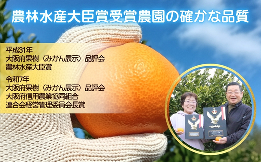 先行予約 2026年11月下旬より発送 【 農林水産大臣賞受賞 】 甘さが違う極上みかん 5kg 高糖度 甘い みかん 柑橘 フルーツ 家庭用 贈答用対応 ギフト 大阪府 河内長野市 角農園