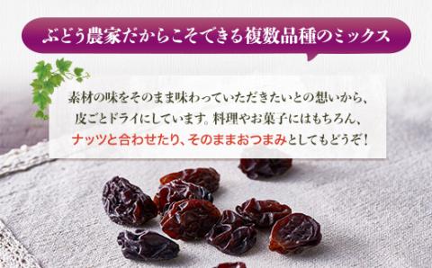 【定期便　毎月お届け12ヵ月】ほしぶどう 40g×5袋 国産 ドライフルーツ 無添加 複数品種 希少 レア 小分け 干し葡萄 干しぶどう 干しブドウ 無添加 保存食 備蓄食 常備食 食物繊維 鉄分 無添加 複数品種 希少 レア 小分け干し葡萄 ほしぶどう 無添加 防災食品 保存食 備蓄食 常備食 食物繊維 鉄分 ポリフェノール レーズン 製菓 製パン グラノーラ おやつ おつまみ 送料無料