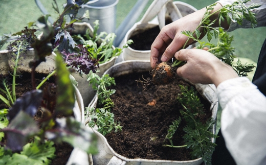 家庭菜園 用土 完全有機土 20L THEO ジオ オーガニック 園芸 CLAY クレイ プランター栽培 野菜 花 花壇 ガーデニング 野菜の土 送料無料 こだわりの逸品 地域特産品 ギフト 自分用 人気 おすすめ