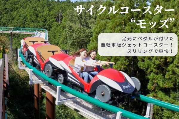 関西サイクルスポーツセンター入場+フリーパスチケット+BBQ(大人)|自転車 テーマパーク アトラクション サイクリング BBQ バーベキュー 春休み 夏休み プール 乗り物 迷路 自然 河内長野 大人