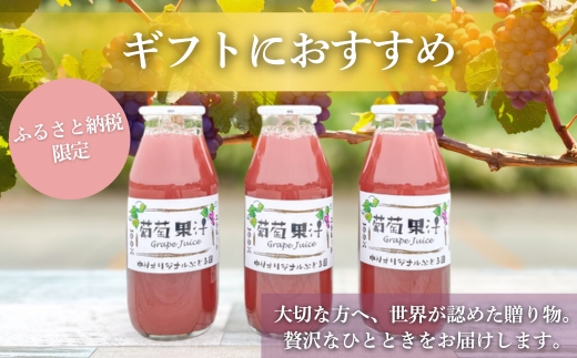 ぶどうジュース 100%  G20大阪サミット提供 中村オリジナルぶどう園 砂糖不使用 無添加 無加水 世界が認めた高級ストレートジュース ギフト 贈答品 日本製 国産ぶどう使用 限定 大阪 河内長野 甘い 濃厚 飲みきり おいしい 美味しい ポリフェノール 小瓶 小分け ぶどう ブドウ 高級 
