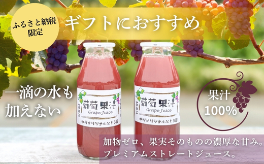 ぶどうジュース２本とぶどうジャムおまかせ４種詰合せ l ぶどう100％スペシャルジャム 砂糖不使用  原材料はぶどうのみ 中村オリジナルぶどう園 国産ぶどう100％使用 高級手づくりジャム 無添加 無着色 果実そのまま  G20大阪サミット提供