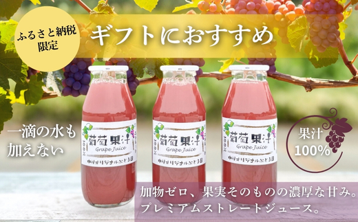 ぶどうジュース3本とぶどうジャムおまかせ2種詰合せ l ぶどう100％スペシャルジャム 砂糖不使用  原材料はぶどうのみ 中村オリジナルぶどう園 国産ぶどう100％使用 高級手づくりジャム 無添加 無着色 果実そのまま  G20大阪サミット提供