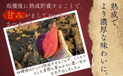 ＜2026年11月発送分　先行予約受付中！！＞ 紅はるか 5kg ｜ さつまいも 生芋 詰め合わせ 熟成 甘い 焼き芋 バター焼き サラダ 天ぷら スイーツ スイートポテト 大阪 河内長野 中村オリジナルぶどう園 訳あり 料理 国産 野菜 食育
