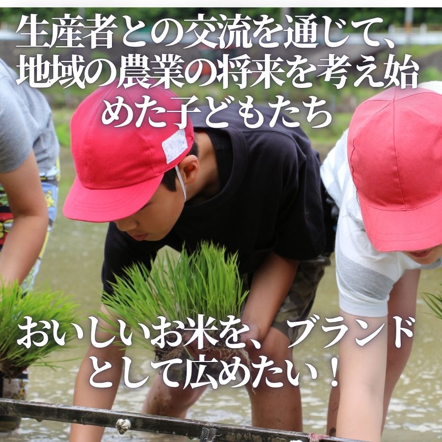 令和7年献上米 新米 ヒノヒカリ 天野輝5kg （精米後約4.5kg）てんのかがやき 大阪府 河内長野市産 白米 甘み 粘り ブランド米【2025年11月以降発送】米 こめ コメ 子ども 食育 減農薬 安心 安全 新米 河内長野市米 eco米 食味 白米 ごはん 銘柄米 ブランド 単一米 米 こめ コメ 白米 ごはん 新米 ひのひかり