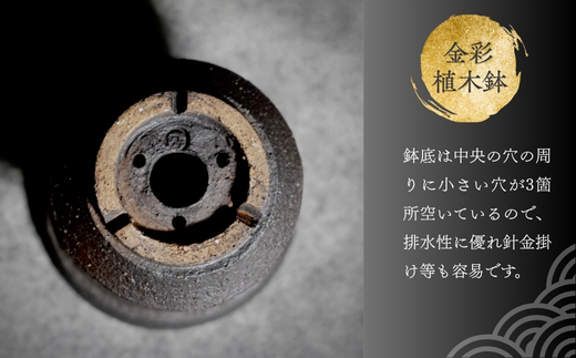 金彩植木鉢 ミニ盆栽 多肉植物 手作り 植木鉢 うえきばち 一点もの 鉢 観葉植物 ガーデニング おしゃれ こだわりの逸品 地域特産品 ギフト 自分用 人気 おすすめ 大阪 河内長野 プレゼント 父の日 母の日 敬老の日 誕生日 お祝い 陶芸  