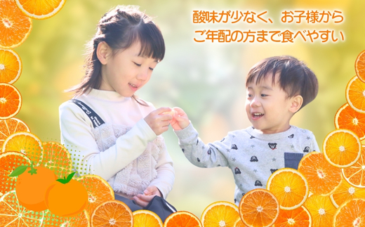 先行予約 2026年11月下旬より発送 【 訳あり 】 甘さが違う極上みかん 5kg 高糖度 甘い みかん 柑橘 フルーツ 家庭用 贈答用対応 ギフト 大阪府 河内長野市 角農園
