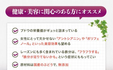 【定期便　毎月お届け12ヵ月】ほしぶどう 40g×5袋 国産 ドライフルーツ 無添加 複数品種 希少 レア 小分け 干し葡萄 干しぶどう 干しブドウ 無添加 保存食 備蓄食 常備食 食物繊維 鉄分 無添加 複数品種 希少 レア 小分け干し葡萄 ほしぶどう 無添加 防災食品 保存食 備蓄食 常備食 食物繊維 鉄分 ポリフェノール レーズン 製菓 製パン グラノーラ おやつ おつまみ 送料無料