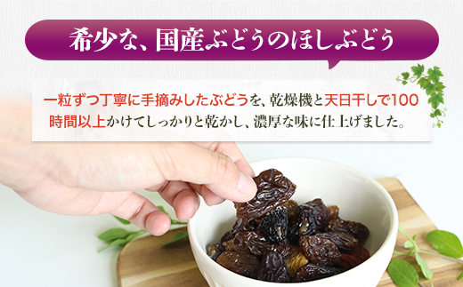 ほしぶどう(40g×5袋)としっとり柿チップス(60g×5袋)セット 国産 ドライフルーツ レーズン 無添加 複数品種 希少 レア 小分け｜こだわりの逸品 地域特産品 ギフト 自分用 人気 おすすめ