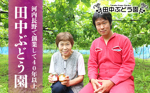 手作り自家製甘夏ピール 35g×5袋 田中ぶどう園 国産 ドライフルーツ 無添加 小分け 保存食 備蓄食 常備食 食物繊維 レア 防災食品 製菓 製パン おやつ おつまみ 送料無料