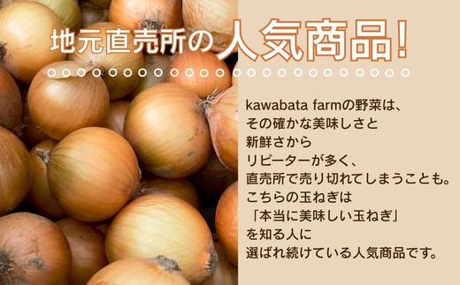 【令和8年度産玉ねぎ先行予約】玉ねぎ 10kg×1箱 ※6月より発送予定 ｜ 混サイズ 玉ねぎ たまねぎ タマネギ 玉葱 カレー シチュー 肉じゃが スープ サラダ 人気 大阪 河内長野 kawabata farm 料理 送料無料 先行予約 国産 エコ農産物 甘い玉ねぎ 野菜 食育 安心 安全