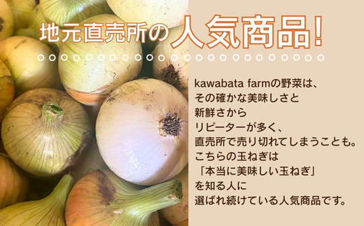 【令和8年度産新玉ねぎ先行予約】新玉ねぎ 2kg×2箱  ※4月～5月発送予定 混サイズ 玉ねぎ 新玉ねぎ たまねぎ タマネギ 玉葱 カレー シチュー 肉じゃが スープ サラダ 人気 大阪 河内長野 kawabata farm 料理 送料無料 先行予約 国産 エコ農産物 甘い玉ねぎ 野菜 食育 安心 安全