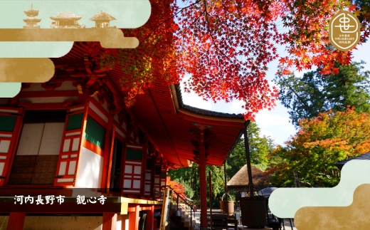 歴史と生姜が香る 薬膳精進カレー ５個 観心寺 金剛寺 延命寺 住職発案 人気レストラン 創作精進料理KU-RI 監修 肉 魚 五辛 不使用 健康 簡単調理 レトルトパック こだわりの逸品 地域特産品 ギフト 自分用 人気 おすすめ