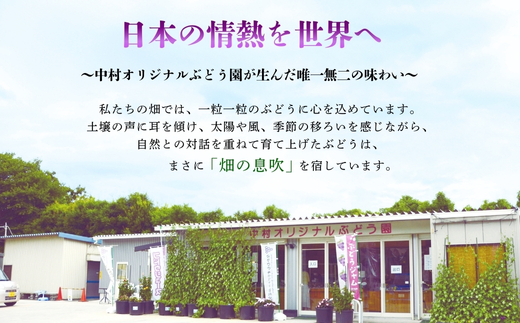 【2026年7月上旬～順次発送】ぶどう詰め合わせ ここにしかないオリジナル品種 おまかせ詰め合わせ 皮ごと食べられるぶどう1種＋オリジナル2種合計約1.8㎏ 中村オリジナルぶどう園 ※発送前のご連絡についてご注意ください 希少 オリジナル品種 おまかせ ぶどう 葡萄 ブドウ グレープ フルーツ 果物 くだもの 果汁 こだわり 大阪 河内長野 長野 厳選