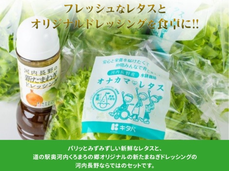 【定期便　毎月お届け 12ヵ月】とれたてレタスと玉ねぎドレッシングセット　サラダ 副菜 常備野菜 炒め物 スープ チャーハン 鍋料理 巻物 冷製料理 朝食 昼食 夕食 付け合わせ サンドイッチ ハンバーガー お弁当 ダイエット｜こだわりの逸品 地域特産品 ギフト 自分用 人気 おすすめ