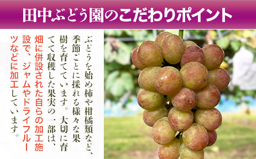 しっとり柿チップス 60g×10袋｜国産 無添加 ドライフルーツ 柿 砂糖不使用 小分けタイプ おやつ おつまみ スイーツ 素朴な自然の甘さ 健康志向のおやつ 田中ぶどう園 謹製 河内長野市産【ギフト・贈答・自分用にも】