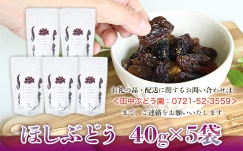 【定期便　毎月お届け3ヵ月】ほしぶどう 40g×5袋 国産 ドライフルーツ 無添加 複数品種 希少 レア 小分け 干し葡萄 干しぶどう 干しブドウ 無添加 保存食 備蓄食 常備食 食物繊維 鉄分 無添加 複数品種 希少 レア 小分け干し葡萄 ほしぶどう 無添加 防災食品 保存食 備蓄食 常備食 食物繊維 鉄分 ポリフェノール レーズン 製菓 製パン グラノーラ おやつ おつまみ 送料無料