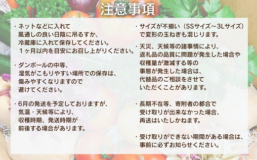 【令和8年度産玉ねぎ先行予約】玉ねぎ 2kg×2箱 ※6月より発送予定 混サイズ 玉ねぎ たまねぎ タマネギ 玉葱 カレー シチュー 肉じゃが スープ サラダ 人気 大阪 河内長野 kawabata farm 料理 送料無料 先行予約 国産 エコ農産物 甘い玉ねぎ 野菜 食育 安心 安全
