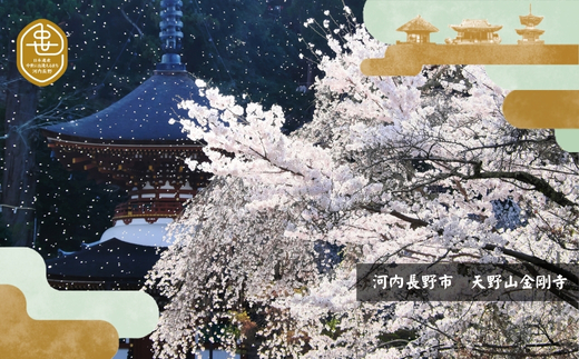 歴史と生姜が香る 薬膳精進カレー ５個 観心寺 金剛寺 延命寺 住職発案 人気レストラン 創作精進料理KU-RI 監修 肉 魚 五辛 不使用 健康 簡単調理 レトルトパック こだわりの逸品 地域特産品 ギフト 自分用 人気 おすすめ