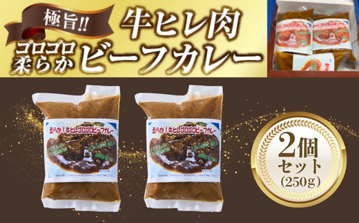 極旨！柔らか牛ヒレ肉ゴロゴロ贅沢ビーフカレー2食セット　ごろっと食感 本格カレー 牛肉 ヒレ肉 牛ヒレ肉 国産牛 ビーフカレー ごろごろ 柔らか 濃厚 旨みたっぷり カレー 牛ヒレカレー ヒレ肉カレー 国産牛カレー 贅沢 個包装 冷凍 温めるだけ 湯せん お中元 お歳暮 クリスマス 正月 おせち ギフト 家族用 非常食 保存食 大阪府 河内長野市 老舗フレンチ 国産素材