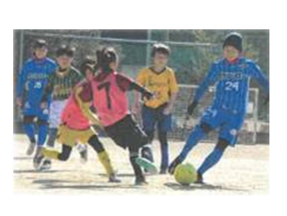 サッカー まちづくり 支援 河内長野 大阪 スペランツァ大阪 スポーツ振興 「サッカーチームと連携したまちづくり」を応援してください（ガバメントクラウドファンディング　返礼品はありません）｜こだわりの逸品 地域特産品 ギフト 自分用 人気 おすすめ