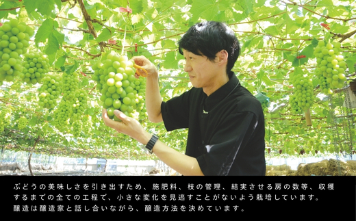 N21ワイン 720ml 中村オリジナルぶどう園のオリジナル品種使用 国産 やや甘口 赤ワイン お酒 酒 父の日 プレゼント ギフト 贈り物 お中元 お歳暮 夏ギフト お土産 手土産