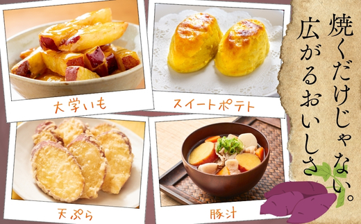 ＜2026年11月発送分　先行予約受付中！！＞ 紅はるか 5kg ｜ さつまいも 生芋 詰め合わせ 熟成 甘い 焼き芋 バター焼き サラダ 天ぷら スイーツ スイートポテト 大阪 河内長野 中村オリジナルぶどう園 訳あり 料理 国産 野菜 食育