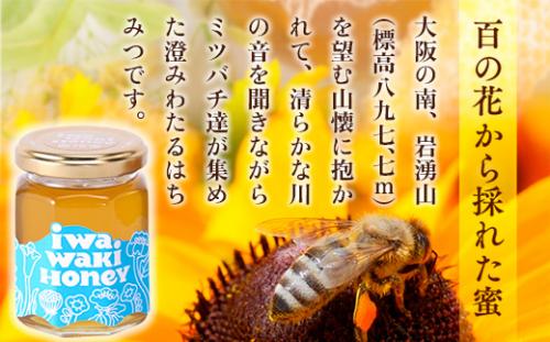 岩湧ハニー 純粋百花はちみつ 500g×1本セット 非加熱 国産天然はちみつ 大阪府 河内長野市 ギフト 百花蜜 ビタミン ミネラル 酵素  パンケーキ ヨーグルト アサイー 朝食 おやつ 手土産 コーヒー 紅茶 ドリンク 珈琲 プレゼント 岩湧山 トースト はちみつ 蜂蜜 ハチミツ