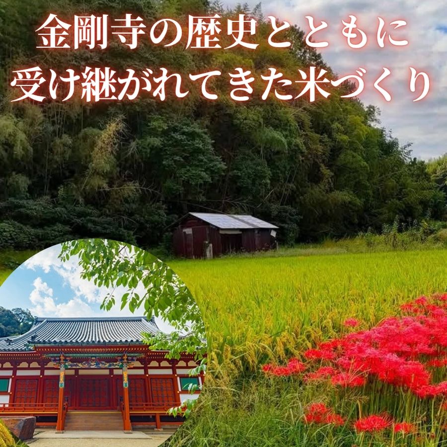令和7年献上米 新米 ヒノヒカリ 天野輝5kg （精米後約4.5kg）てんのかがやき 大阪府 河内長野市産 白米 甘み 粘り ブランド米【2025年11月以降発送】米 こめ コメ 子ども 食育 減農薬 安心 安全 新米 河内長野市米 eco米 食味 白米 ごはん 銘柄米 ブランド 単一米 米 こめ コメ 白米 ごはん 新米 ひのひかり
