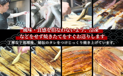 国産うなぎのかば焼き 1切（約250g） 人気鮮魚店「四季水産」特製 ウナギ 鰻 蒲焼 かば焼き 蒲焼き